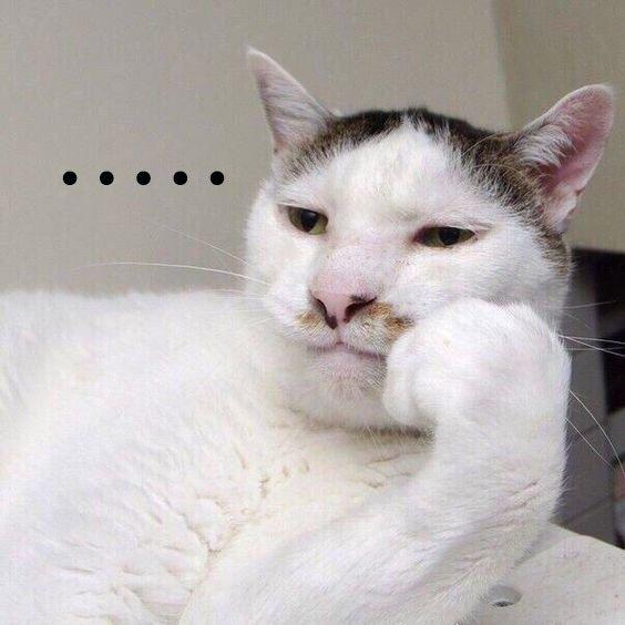 Meme là gì? 300+ meme hài, chất nhất quả đất để bạn comment dạo thả ga ...