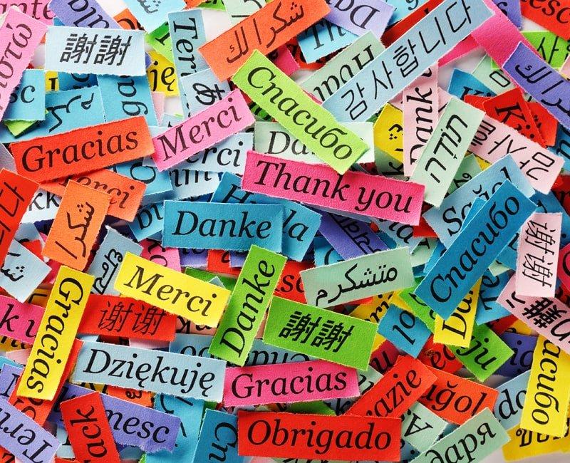 Học ngoại ngữ từ đầu, nên bắt đầu từ đâu?