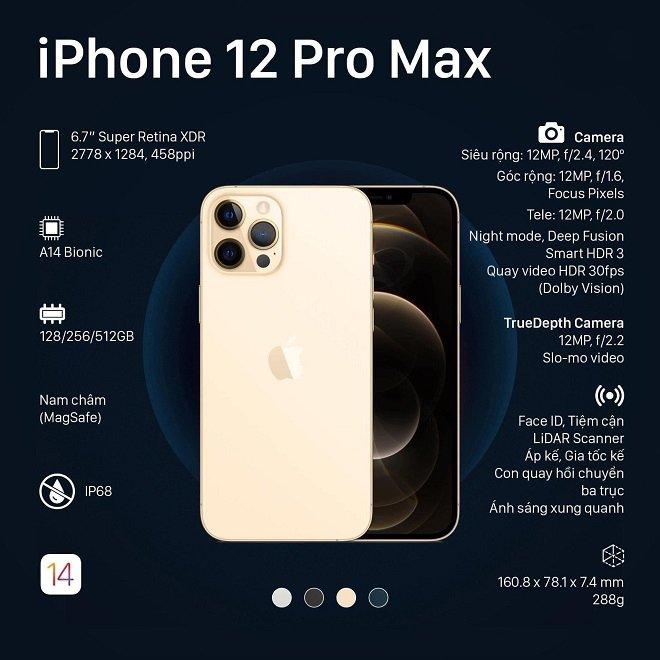 Thông số kỹ thuật trên iPhone 12 Pro Max. (Nguồn: Internet)