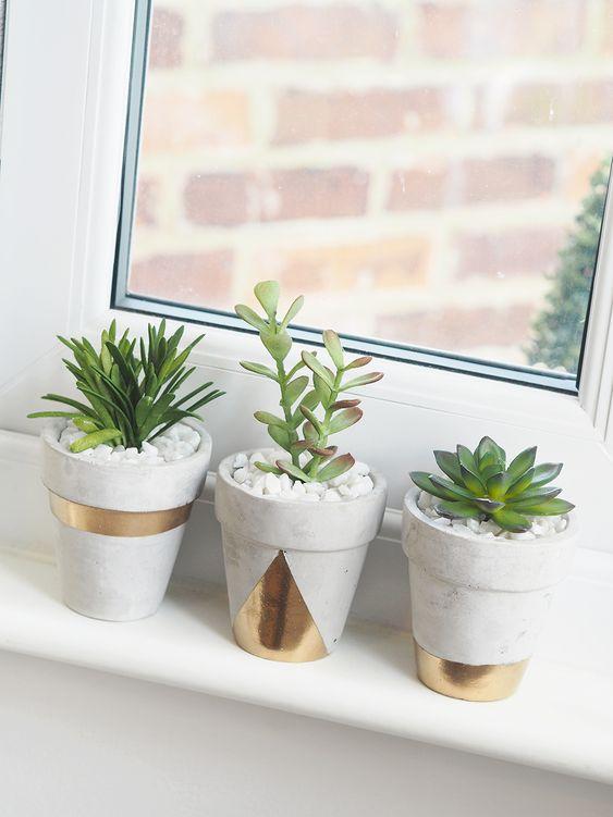 Những chậu sen đá dễ thương (Nguồn: Internet)