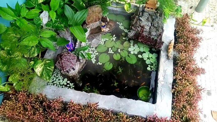 Hồ thủy sinh ngoài trời là điểm nhấn cho sân vườn nhà bạn (Ảnh: Internet). Hồ thủy sinh ngoài trời là điểm nhấn cho sân vườn nhà bạn (Ảnh: Internet).