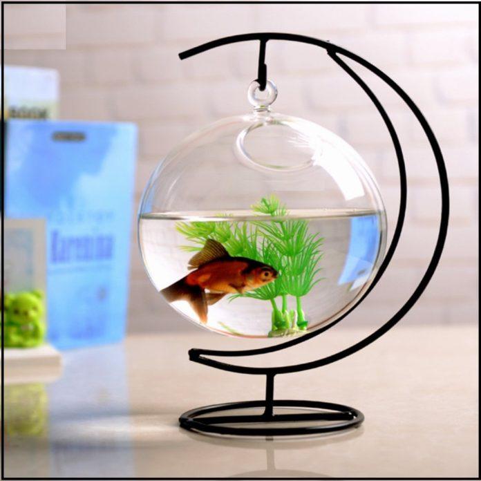 Một mẫu hồ để bàn cực sáng tạo! (Ảnh: Internet). Một mẫu hồ để bàn cực sáng tạo! (Ảnh: Internet).