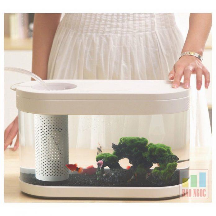 Chiếc hồ này được làm bằng nhựa cao cấp và có cả máy sục oxi (Ảnh: Internet). Chiếc hồ này được làm bằng nhựa cao cấp và có cả máy sục oxi (Ảnh: Internet).