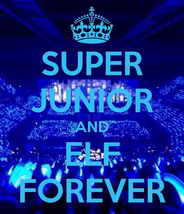 Tên fandom của Super Junior là E.L.F tức là Ever Lasting Friend. (Ảnh: Internet)