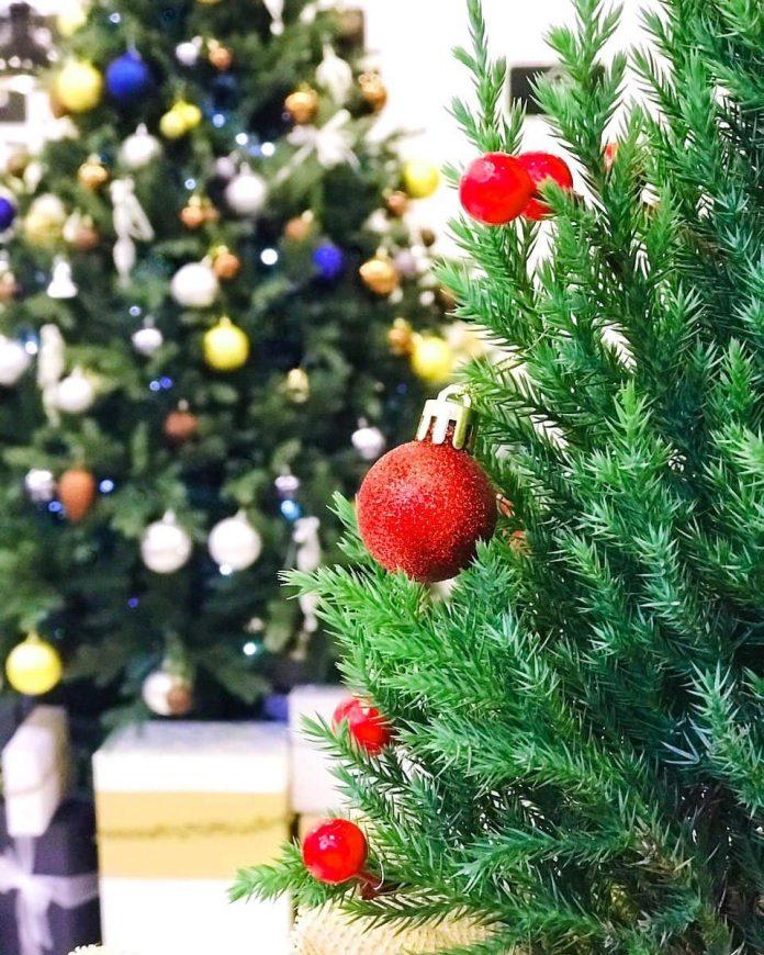 Boulevard Gelato & Coffee ngập tràn không khí Noel. (Ảnh: Fanpage Facebook Boulevard Gelato & Coffee)