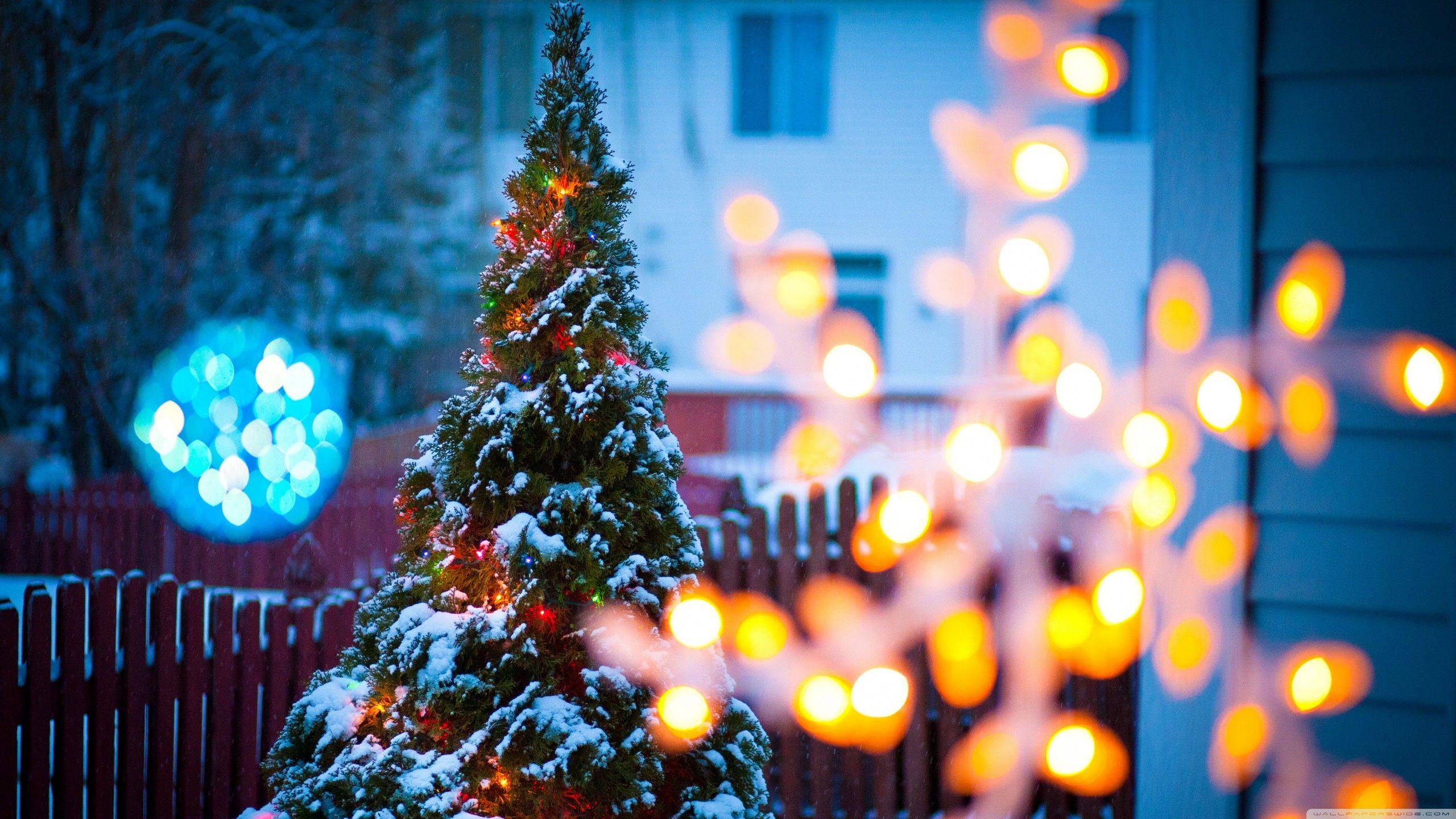 Cùng đón mùa giáng sinh với cây thông Noel lung linh, rực rỡ những đèn lấp lánh và những vật dụng trang trí tinh tế. Hãy cảm nhận khung cảnh đẹp nhất qua những hình ảnh cây thông Noel đầy ấn tượng và lãng mạn.