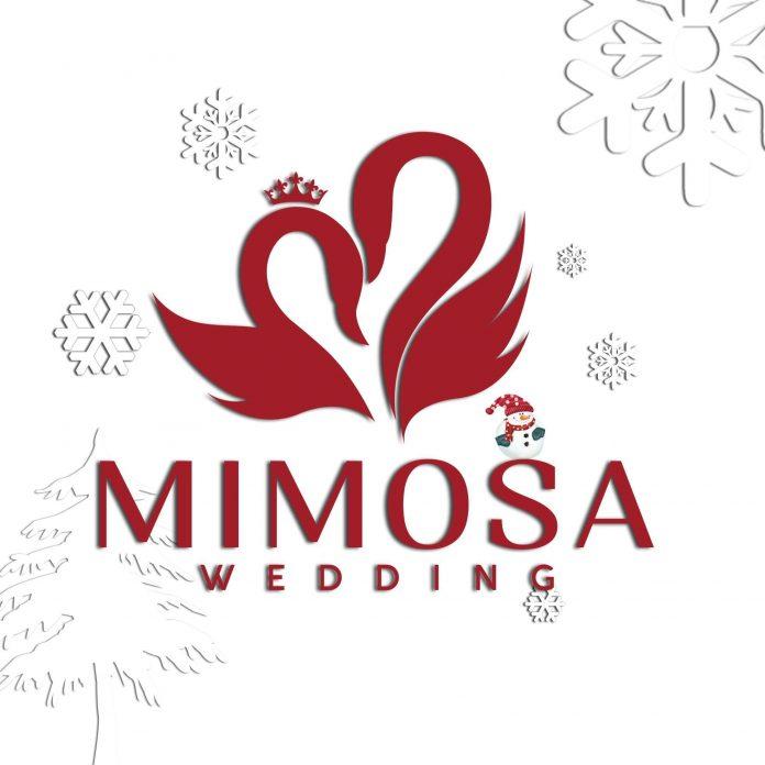 Mimosa Wedding Studio (Ảnh Internet)