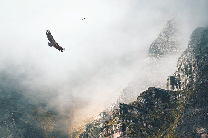 Ảnh chụp tại Bidarray, Pháp (Ảnh: Internet). Ảnh chụp tại Bidarray, Pháp (Ảnh: Internet).