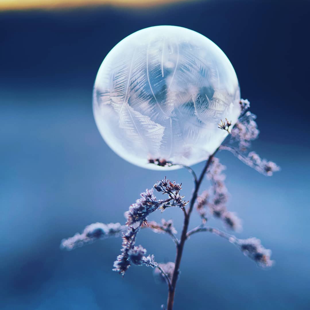 Vẻ đẹp ảo tung chảo của bong bóng tuyết và lý giải khoa học ngầu ...