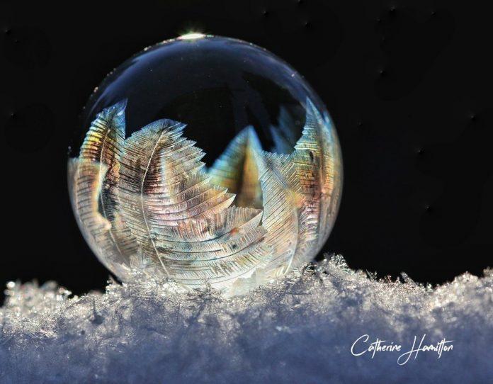Khi bong bóng đóng băng đúng nguyên lý sẽ giống như những cây thông mọc lên, đẹp kỳ ảo. (Ảnh: Internet)