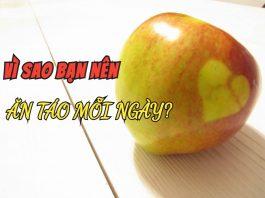 Công dụng của táo đối với sức khỏe – Lý do bạn nên ăn một quả táo mỗi ngày