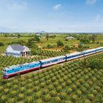 Tuyến đường sắt Sài Gòn - Bình Thuận ngang qua vườn thanh long xanh mướt. (Nguồn ảnh: Internet)