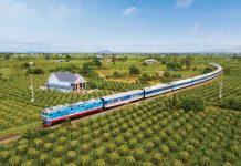 Tuyến đường sắt Sài Gòn - Bình Thuận ngang qua vườn thanh long xanh mướt. (Nguồn ảnh: Internet)