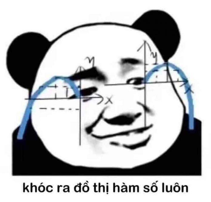 Meme gấu trúc quen thuộc trên mọi mặt trận (Ảnh: Internet)