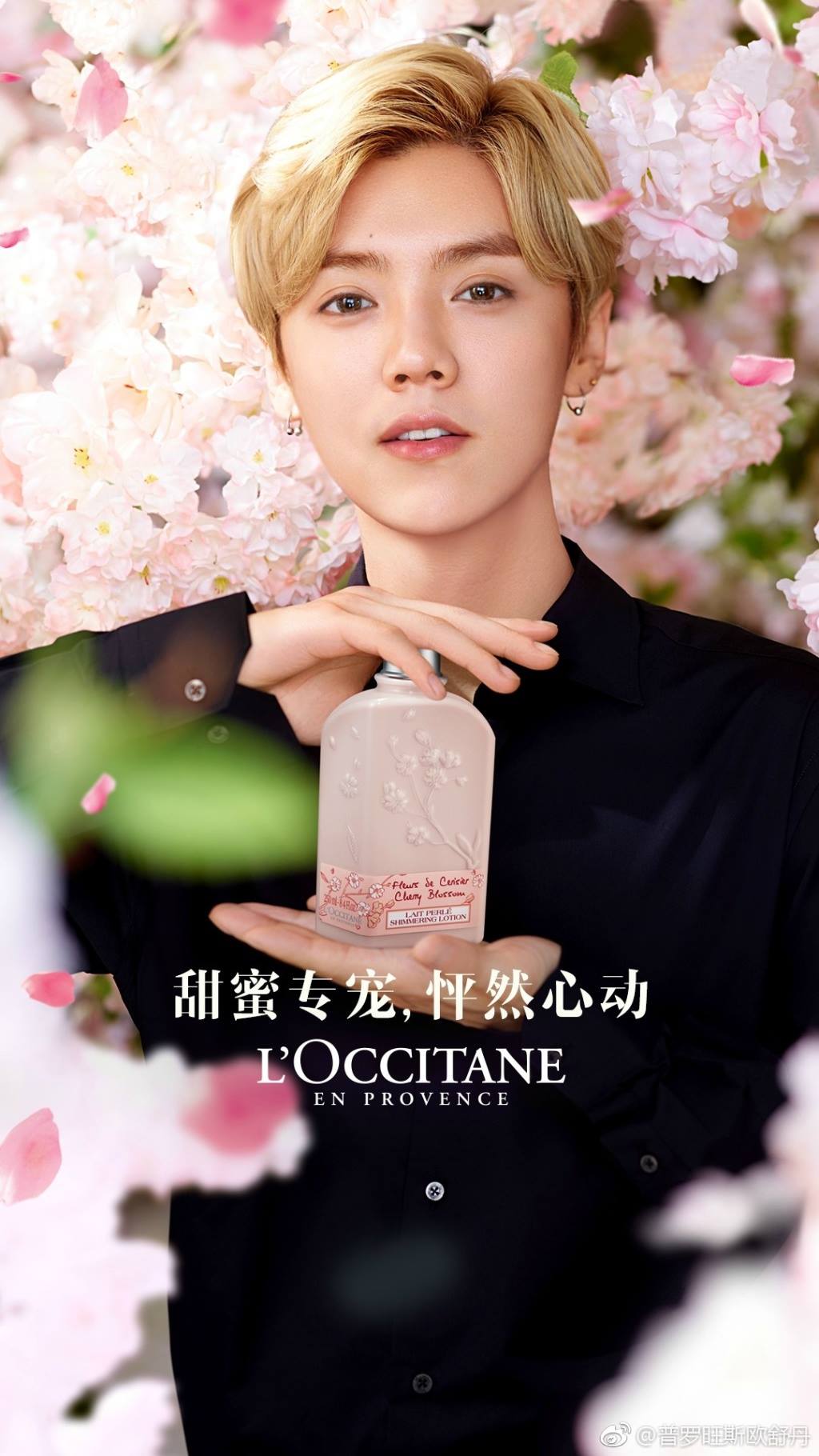 Lộc Hàm (Lu Han) - thành viên nhóm EXO là đại sứ thương hiệu mỹ phẩm L'Occitane Trung Quốc. (nguồn: internet)