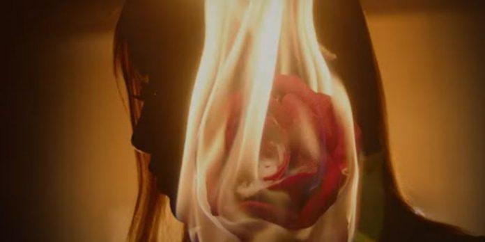 Hình ảnh bông hồng rực cháy trong Mv Teaser