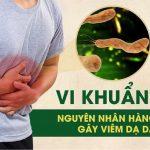 Vi khuẩn HP: Mối nguy hiểm tiềm ẩn trong đời sống thường ngày