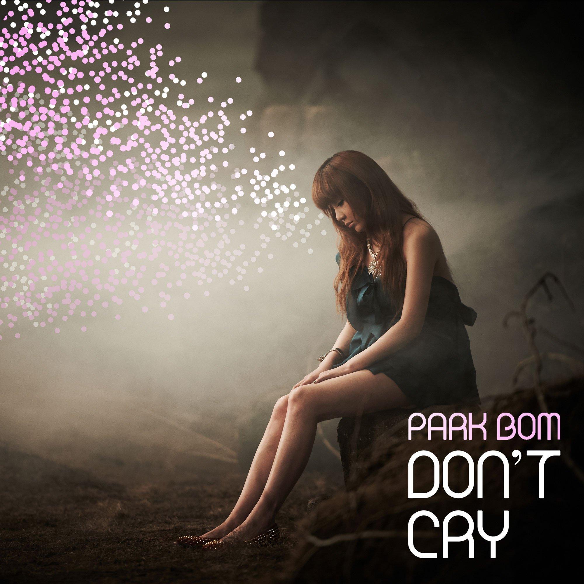 Don't Cry (Park Bom). (Nguồn: Internet)