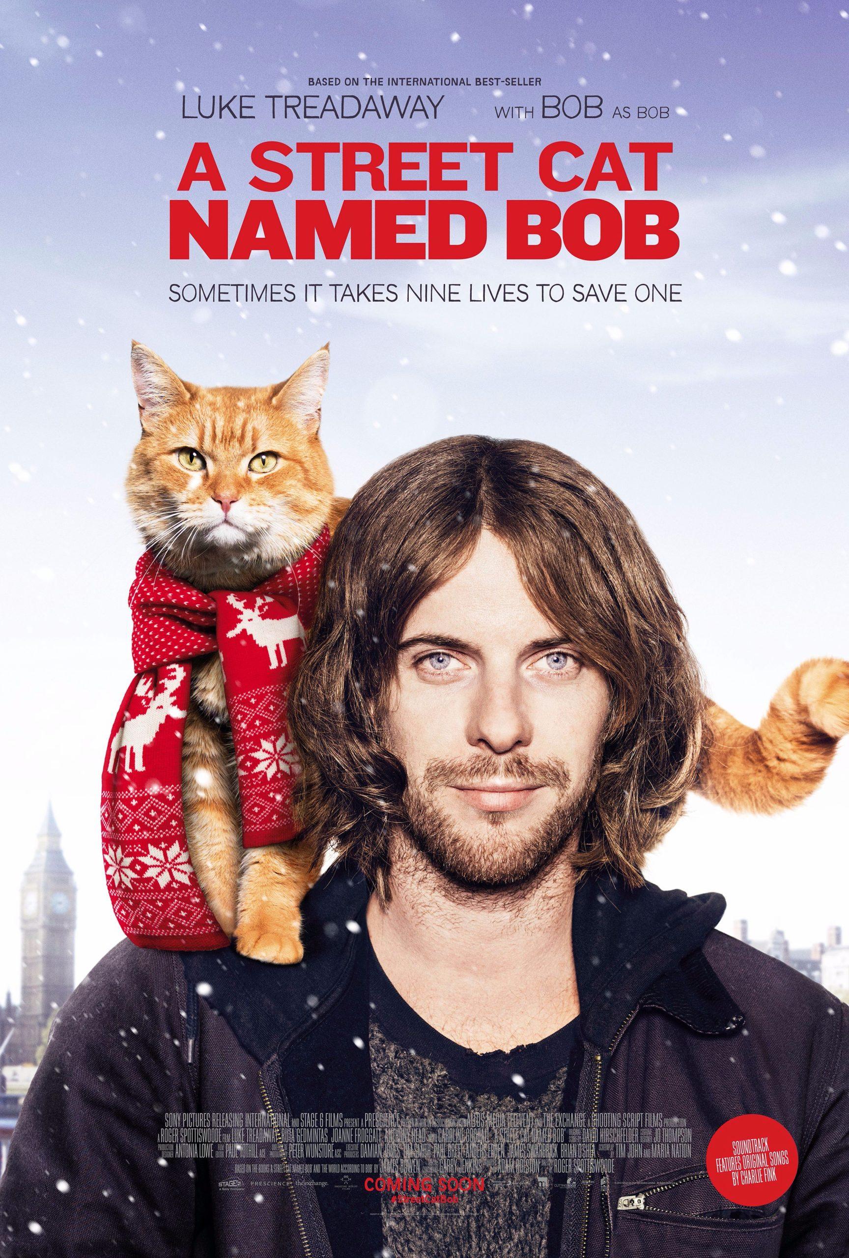 Phim A Street Cat Named Bob (Nguồn: Internet)