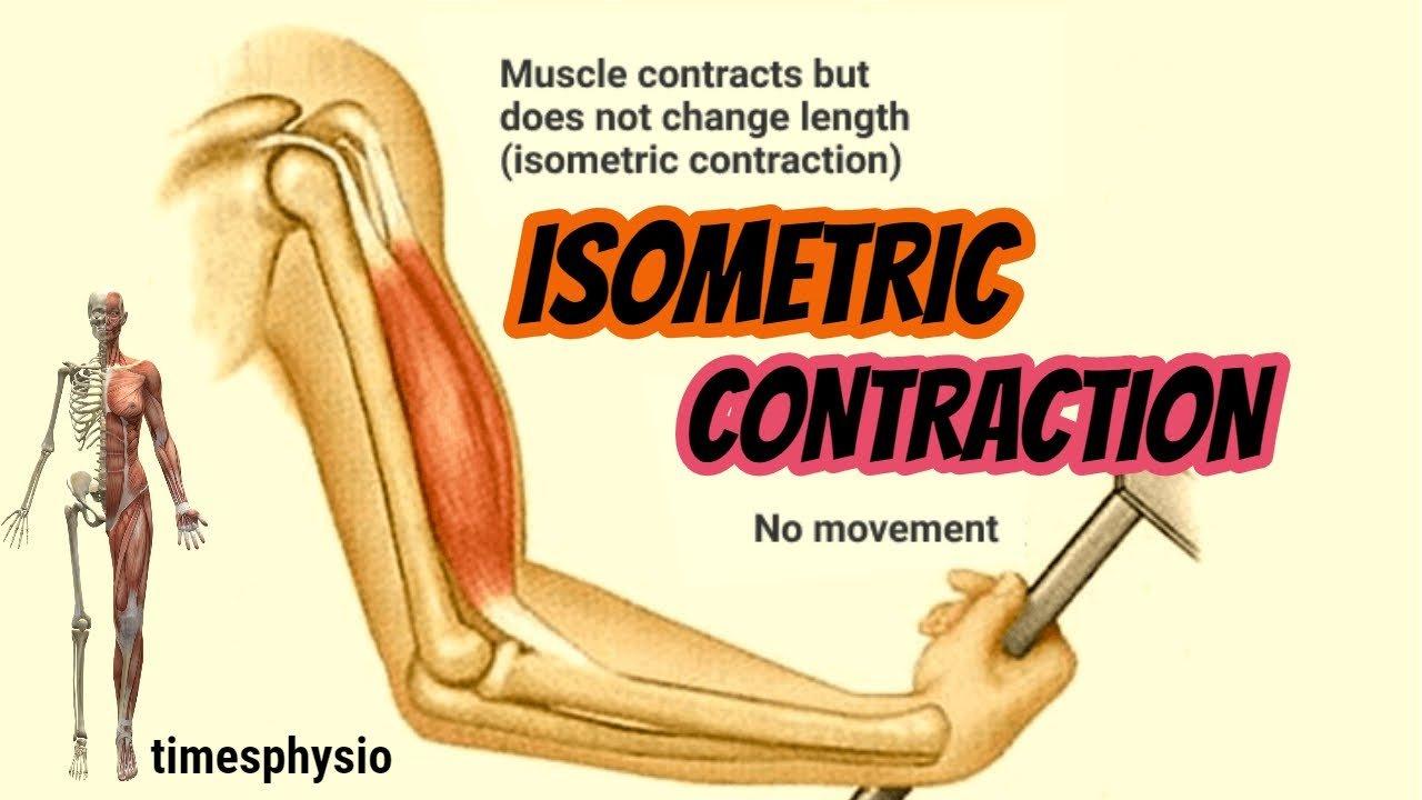 Trong các động tác isometric, cơ bắp vẫn co nhưng không thay đổi độ dài sợi cơ (Ảnh: Internet).