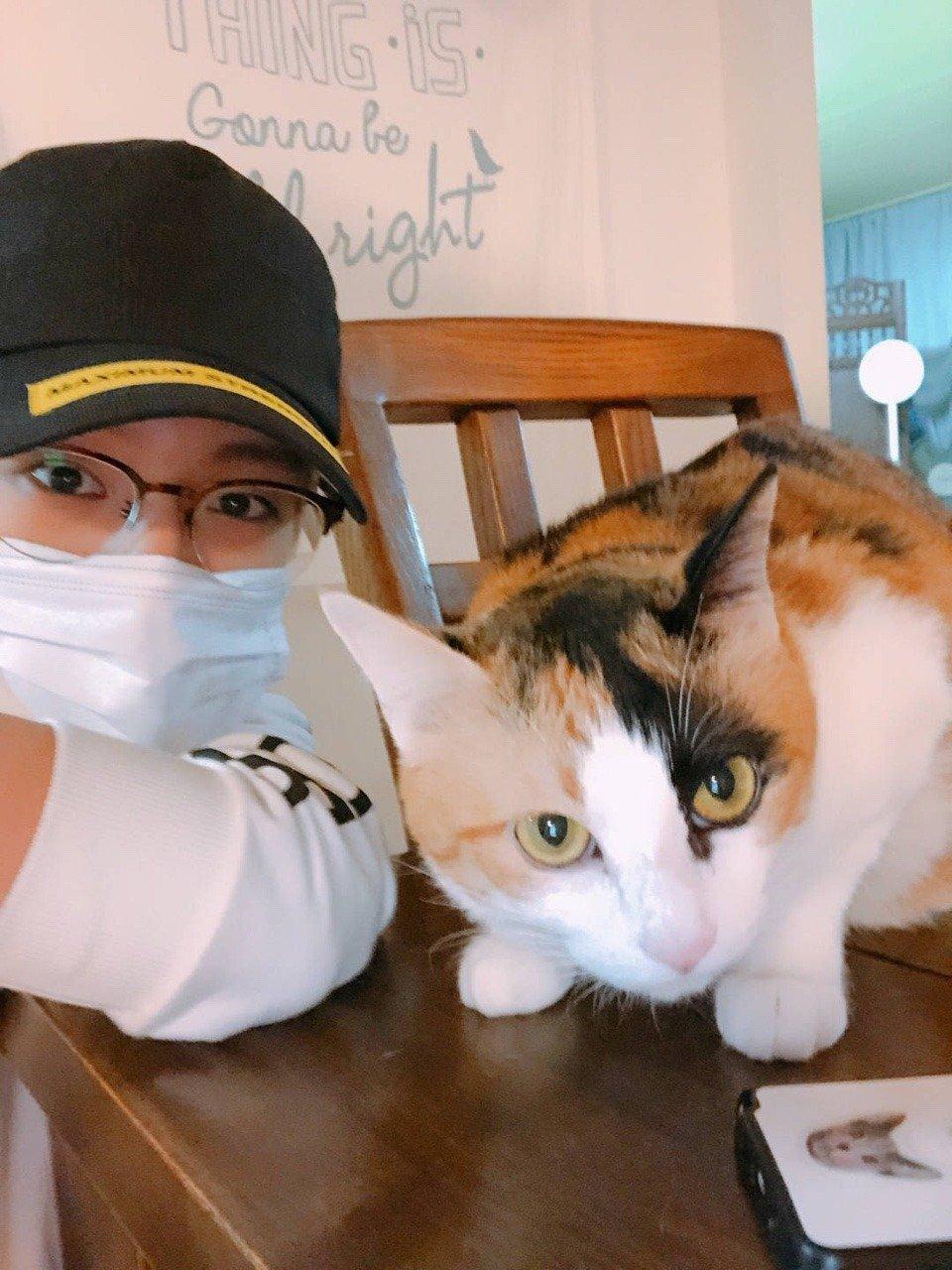 Jeno (NCT) là một trong những ngôi sao Kpop thuộc hội cuồng mèo của Kpop. (Nguồn: Internet)