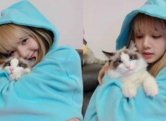 Lisa (BLACKPINK) là một trong những ngôi sao Kpop thuộc hội cuồng mèo của Kpop. (Nguồn: Internet)