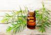 Tea Tree Oil thành phần vàng trong điều trị mụn sưng viêm ( Nguồn: internet)
