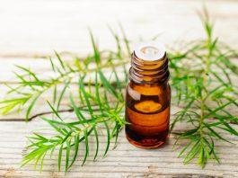 Tea Tree Oil thành phần vàng trong điều trị mụn sưng viêm ( Nguồn: internet)
