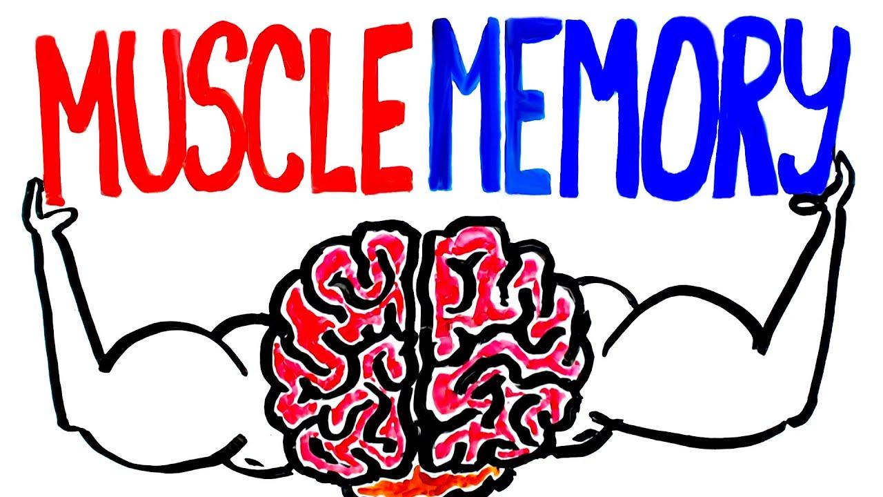 Muscle memory là đề tài thú vị nhưng chưa được nghiên cứu nhiều (Ảnh: Internet).