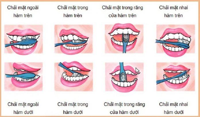 Cách chải răng đúng theo hướng dẫn của nha sĩ (Nguồn: Internet).