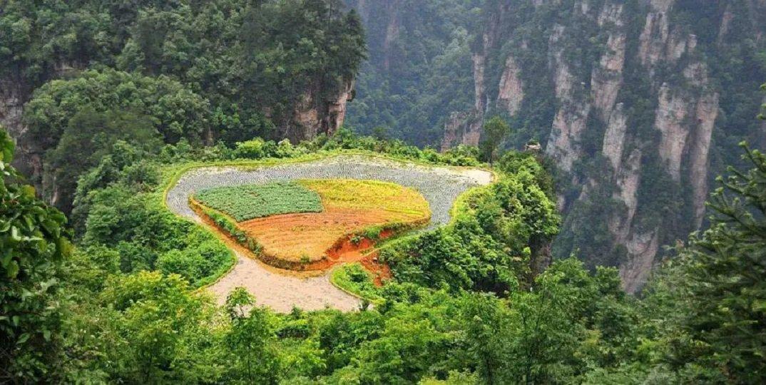 Khu vực Laowu Chang là vùng đất nông nghiệp đặt trên đỉnh núi cao chót vót (Ảnh: Internet).