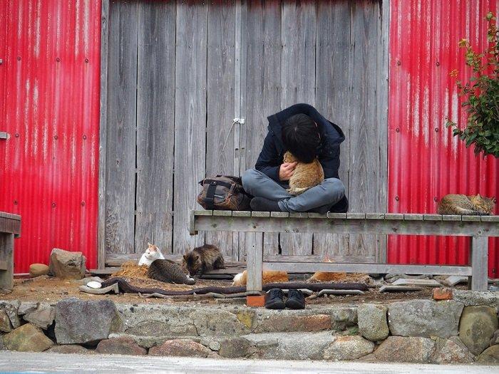 Còn gì sung sướng hơn cảm giác ôm một "cục bông" trong lòng và cảm nhận tiếng rên khe khẽ đáng yêu của chúng! (Ảnh: Internet).