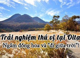 Thiên nhiên tươi đẹp của tỉnh Oita, điểm đến tuyệt vời dành cho những người thích trải nghiệm và khám phá!