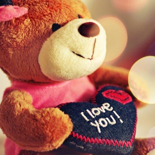 Gấu bông dễ thương làm quà tặng Valentine Trắng (Ảnh: Internet)