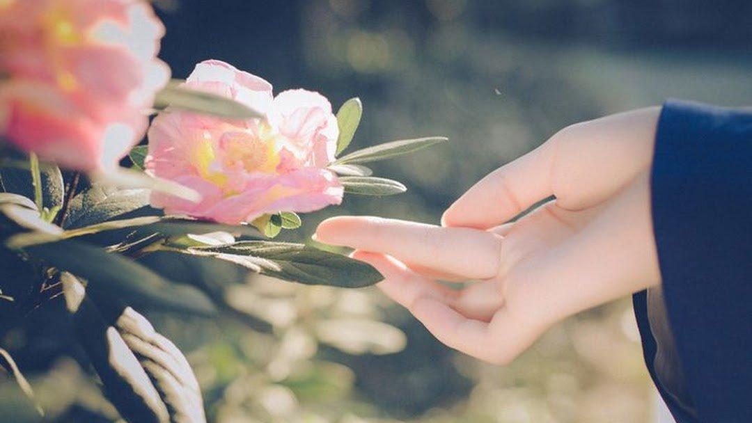 "Độ chín" trong suy nghĩ khiến ta cảm nhận được cuộc sống sâu sắc hơn ( ảnh Internet)