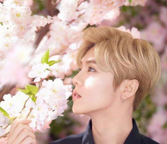 Lộc Hàm đẹp hợn hoa ( ảnh: Internet)