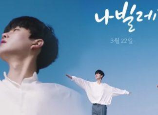 Gặp Lại Song Kang trong Navillera (Như Cánh Bướm): Bộ phim mới toanh của đài cáp tvN