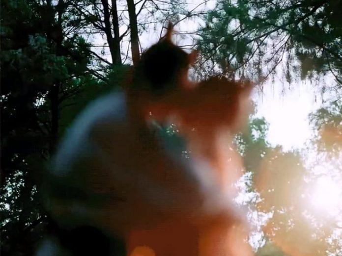 Cảnh hôn mờ ảo của A Chuẩn và Lý Trường Ca ( nguồn: internet)