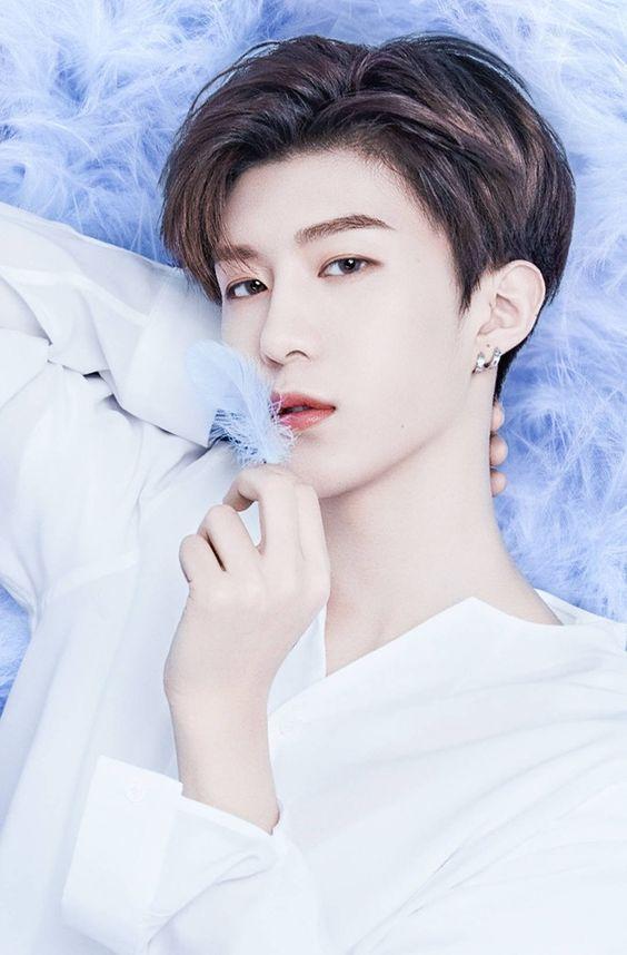 Phạm Thừa Thừa (ChengCheng), là thành viên của nhóm nhạc nam NEXT. (Nguồn: Internet)