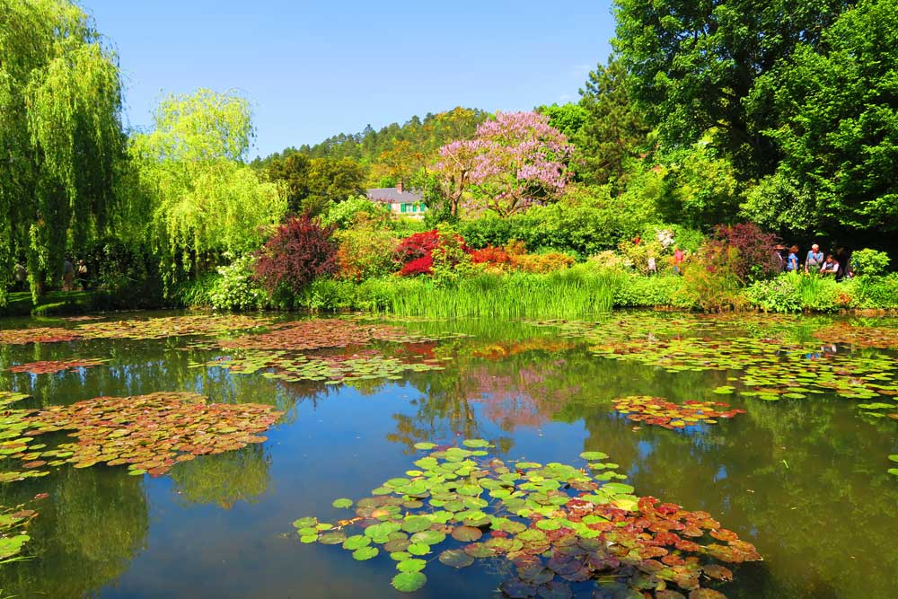 Monet là một họa sĩ nổi tiếng, và khu vườn của ông cũng đẹp như tranh vẽ vậy (Ảnh: Internet).