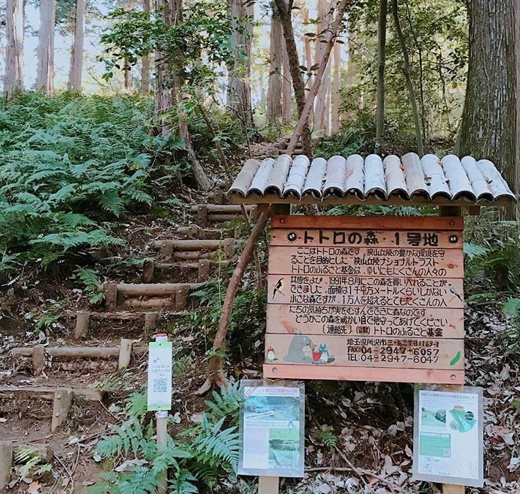 Tấm bảng ngoài bìa rừng có viết rằng nơi đây là Rừng Totoro (Ảnh: Internet).