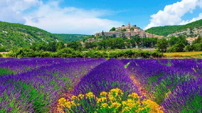 Sắc hoa rực rỡ tại Banon của vùng Provence (Ảnh: Internet).