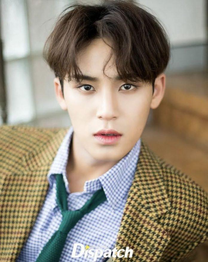 Mingyu (SEVENTEEN) nam thần tượng đẹp trai xuất sắc trong ngành công nghiệp K-Pop. (Nguồn: Internet)