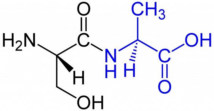 Peptides được cấu thành từ các acid amin. (Nguồn: Internet).