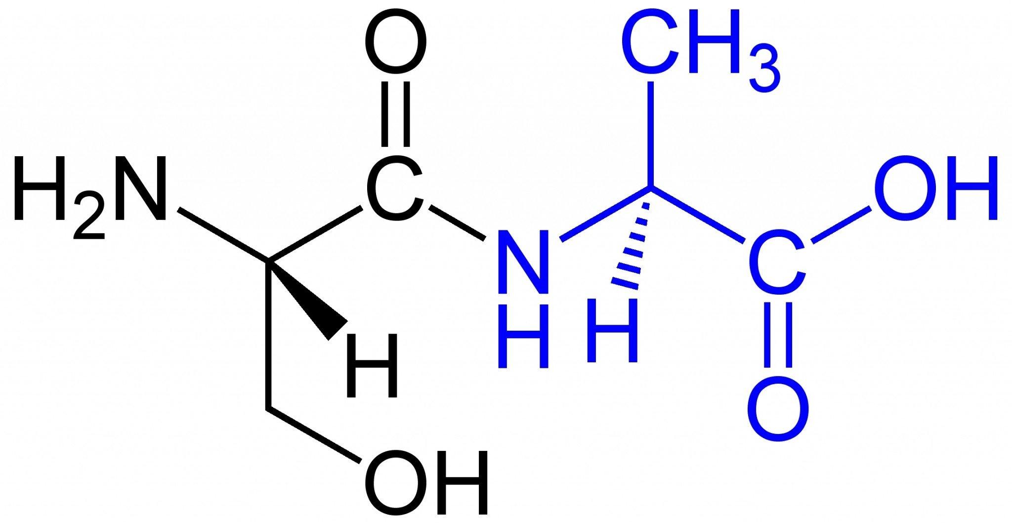 Peptides được cấu thành từ các acid amin. (Nguồn: Internet).