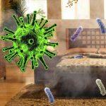 Bật mí 6 nơi có nhiều vi khuẩn trong nhà mà bạn nên cực kỳ cẩn trọng!