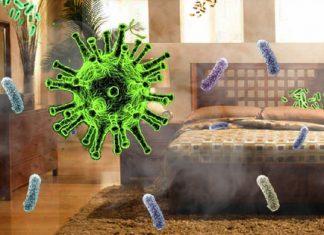 Bật mí 6 nơi có nhiều vi khuẩn trong nhà mà bạn nên cực kỳ cẩn trọng!