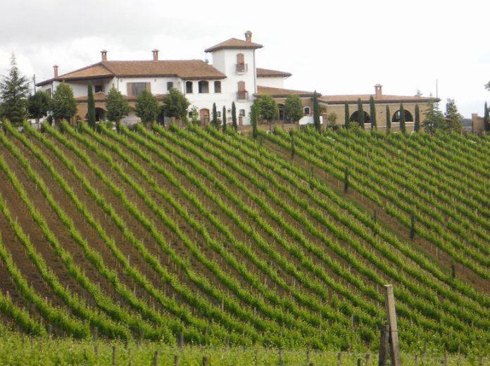 Nhà máy rượu vang Quintodecimo ở Mirabella Eclano (Ảnh: Internet).