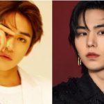 5 thần tượng Hàn Quốc nên tham gia diễn xuất (ảnh: internet)