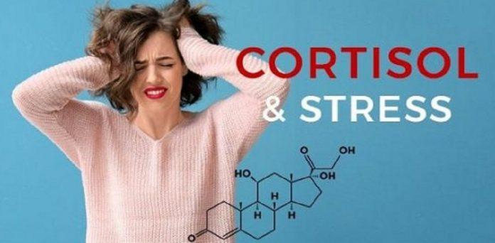 Cortisol là hormone stress chủ đạo của cơ thể (Ảnh: Internet).